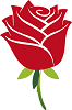 Solai Flowers