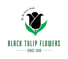 Black Tulip Group Flower Farms